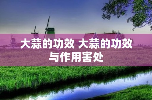 大蒜的功效 大蒜的功效与作用害处