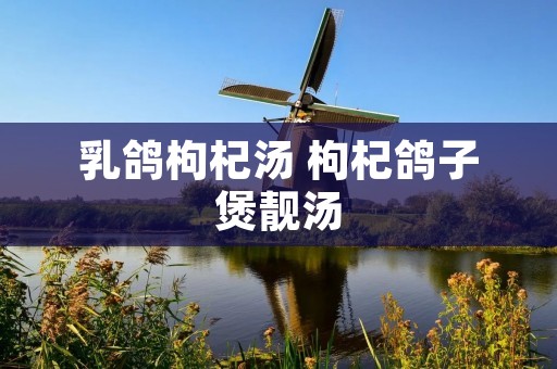 乳鸽枸杞汤 枸杞鸽子煲靓汤