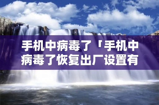 手机中病毒了「手机中病毒了恢复出厂设置有用吗」
