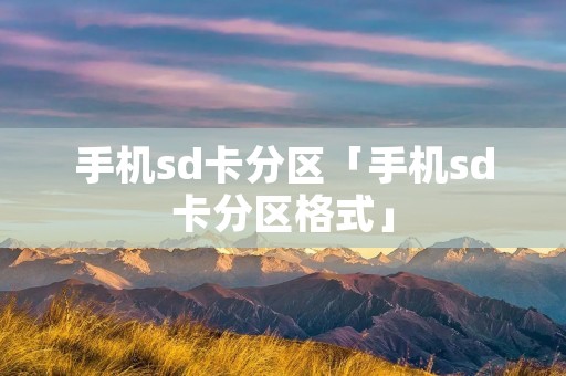 手机sd卡分区「手机sd卡分区格式」
