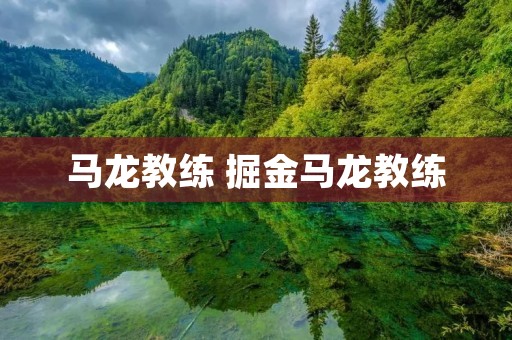 马龙教练 掘金马龙教练 马龙教练 掘金马龙教练