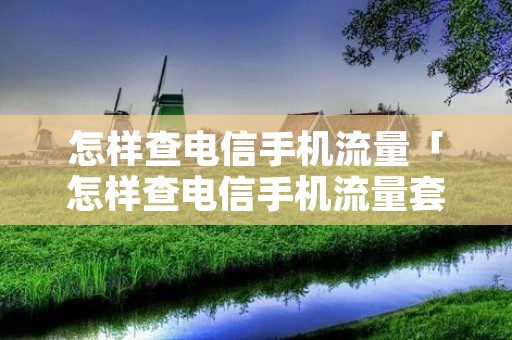怎样查电信手机流量「怎样查电信手机流量套餐」 怎样查电信手机流量「怎样查电信手机流量套餐」