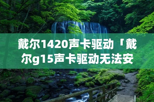 戴尔1420声卡驱动「戴尔g15声卡驱动无法安装」