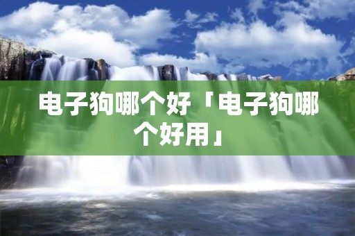 电子狗哪个好「电子狗哪个好用」 电子狗哪个好「电子狗哪个好用」