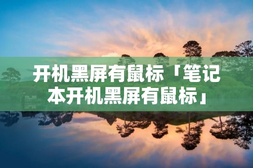 开机黑屏有鼠标「笔记本开机黑屏有鼠标」