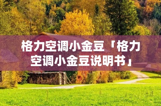 格力空调小金豆「格力空调小金豆说明书」