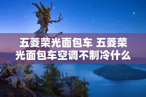 五菱荣光面包车 五菱荣光面包车空调不制冷什么情况