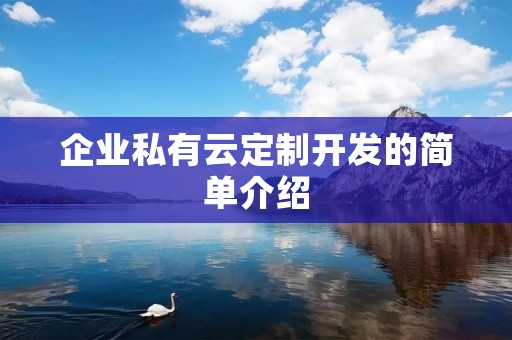 企业私有云定制开发的简单介绍