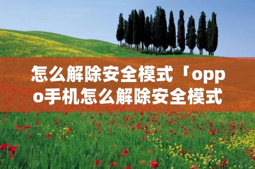 怎么解除安全模式「oppo手机怎么解除安全模式」