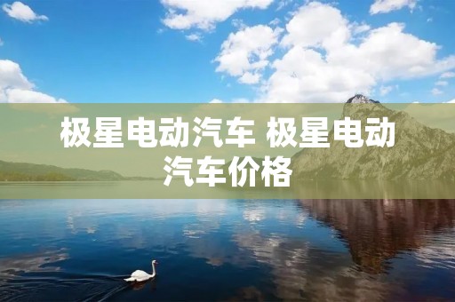 极星电动汽车 极星电动汽车价格