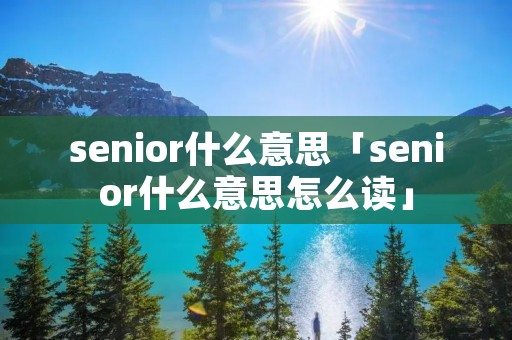 senior什么意思「senior什么意思怎么读」