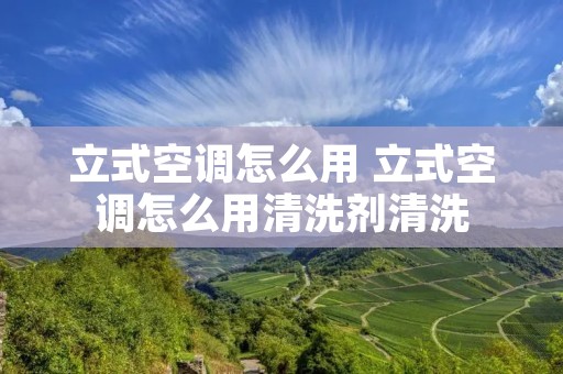 立式空调怎么用 立式空调怎么用清洗剂清洗