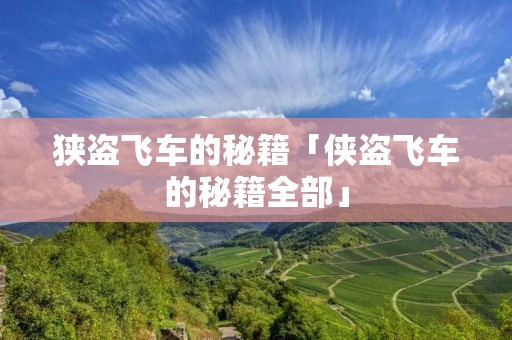 狭盗飞车的秘籍「侠盗飞车的秘籍全部」