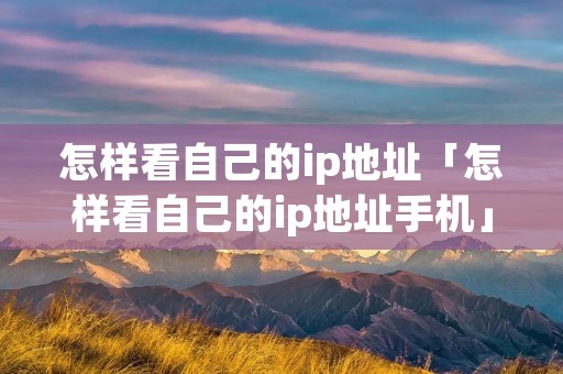 怎样看自己的ip地址「怎样看自己的ip地址手机」