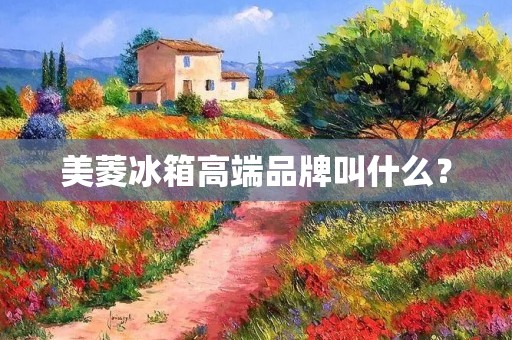 美菱冰箱高端品牌叫什么？