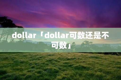 dollar「dollar可数还是不可数」