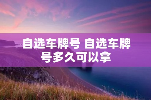 自选车牌号 自选车牌号多久可以拿