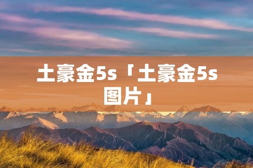土豪金5s「土豪金5s图片」
