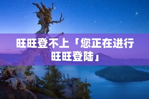 旺旺登不上「您正在进行旺旺登陆」 旺旺登不上「您正在进行旺旺登陆」