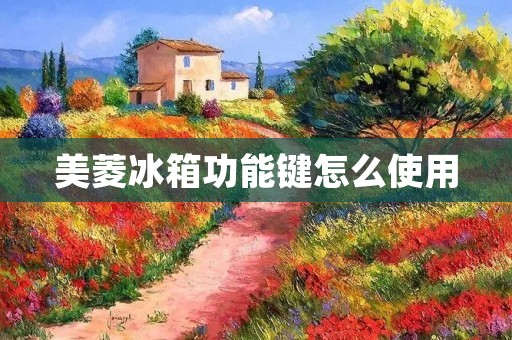 美菱冰箱功能键怎么使用
