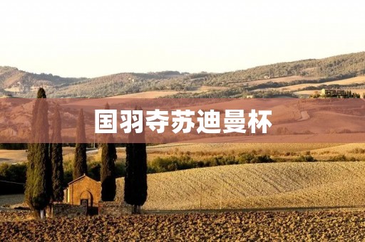 国羽夺苏迪曼杯:中国羽毛球队再次展现实力 国羽夺苏迪曼杯:中国羽毛球队再次展现实力
