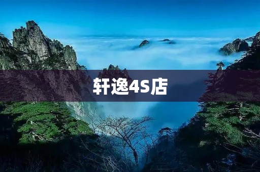 轩逸4S店:为你提供一站式购车服务 轩逸4S店:为你提供一站式购车服务