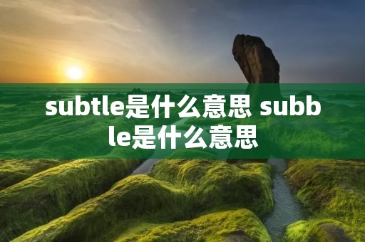 subtle是什么意思 subble是什么意思
