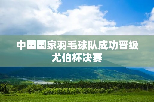 中国国家羽毛球队成功晋级尤伯杯决赛
