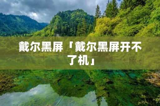 戴尔黑屏「戴尔黑屏开不了机」