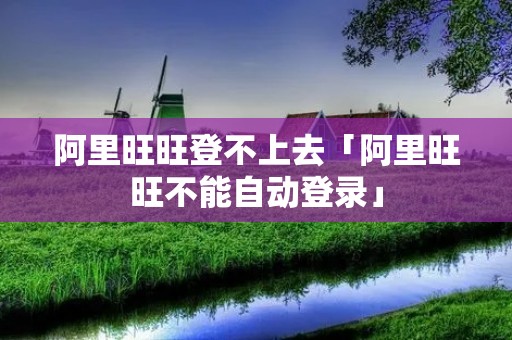 阿里旺旺登不上去「阿里旺旺不能自动登录」 阿里旺旺登不上去「阿里旺旺不能自动登录」