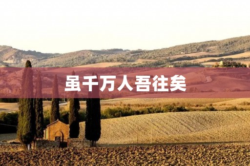 虽千万人吾往矣:追寻自己的梦想