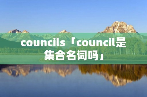 councils「council是集合名词吗」