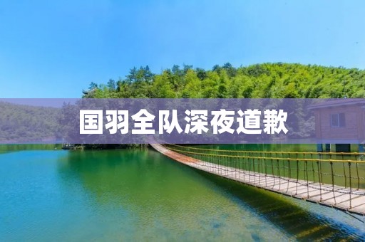 国羽全队深夜道歉：为何道歉？何时道歉？道歉的内涵是什么？