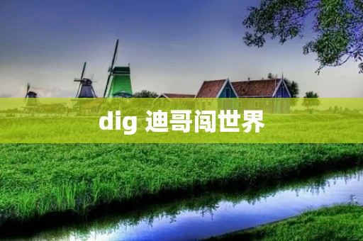 dig 迪哥闯世界
