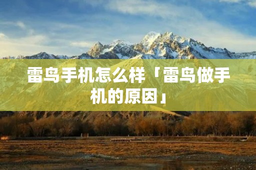雷鸟手机怎么样「雷鸟做手机的原因」 雷鸟手机怎么样「雷鸟做手机的原因」