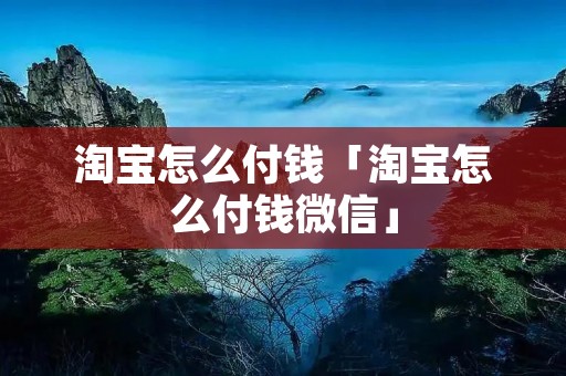 淘宝怎么付钱「淘宝怎么付钱微信」