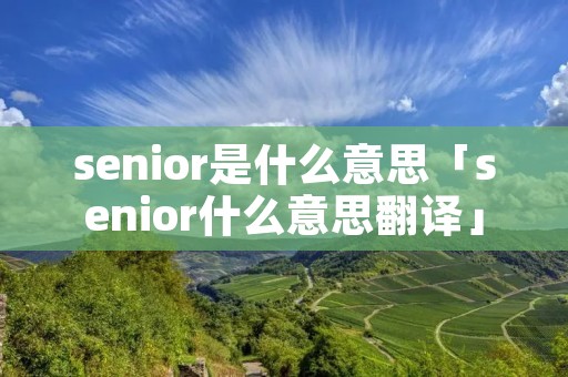 senior是什么意思「senior什么意思翻译」