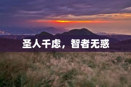 圣人千虑，智者无惑