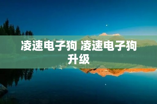 凌速电子狗 凌速电子狗升级