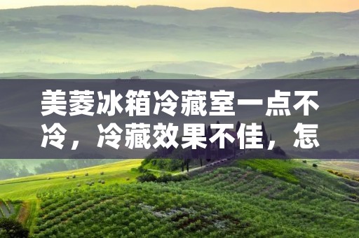 美菱冰箱冷藏室一点不冷,冷藏效果不佳,怎么办? 美菱冰箱冷藏室一点不冷,冷藏效果不佳,怎么办?