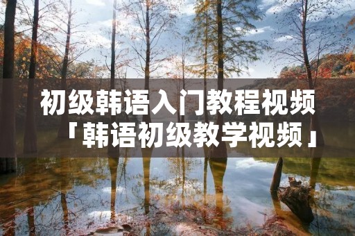 初级韩语入门教程视频「韩语初级教学视频」
