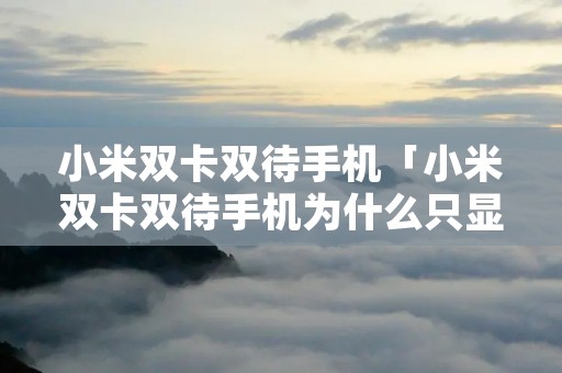 小米双卡双待手机「小米双卡双待手机为什么只显示一张卡」