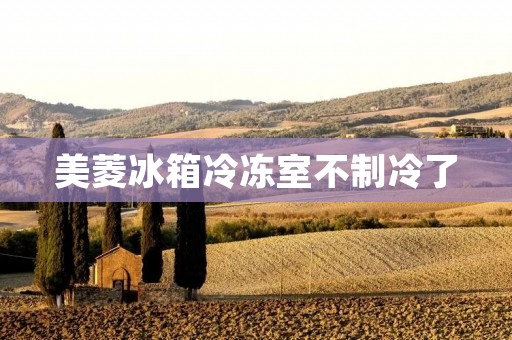 美菱冰箱冷冻室不制冷了：可能的原因及解决方法