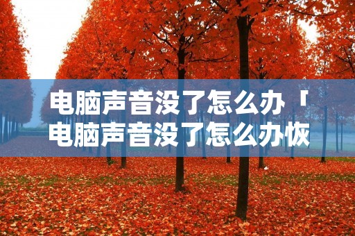 电脑声音没了怎么办「电脑声音没了怎么办恢复」