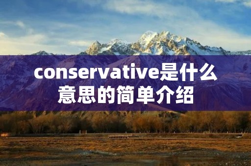 conservative是什么意思的简单介绍