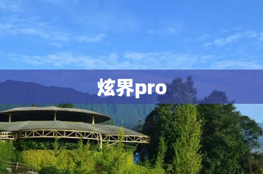 炫界pro：尽显科技魅力的全能网站编辑