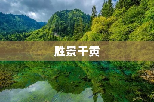 胜景干黄：探寻秋日中的美丽风景