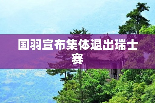 国羽宣布集体退出瑞士赛：深思熟虑的决定与未来考量