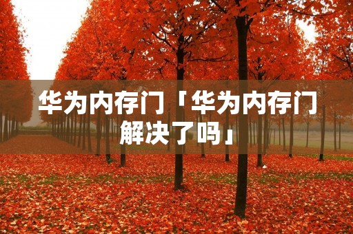 华为内存门「华为内存门解决了吗」 华为内存门「华为内存门解决了吗」