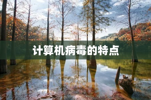 计算机病毒的特点：揭示隐藏的威胁